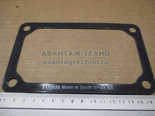 3179026